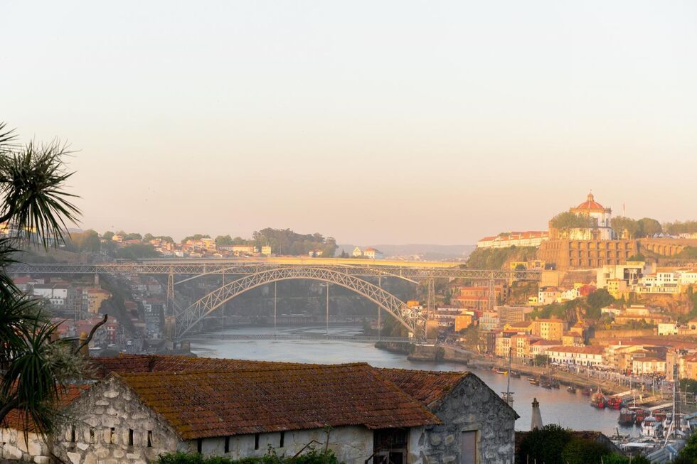 No Porto destacam-se a francesinha, o bacalhau e os tours ao Mercado do Bolhão e às caves em Vila Nova de Gaia