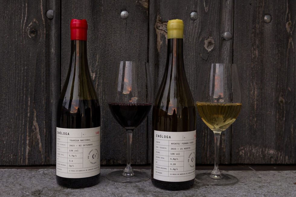 Os ODE Enóloga 2023 branco, de Fernão Pires e Arinto, e tinto, de Touriga Nacional (€70)