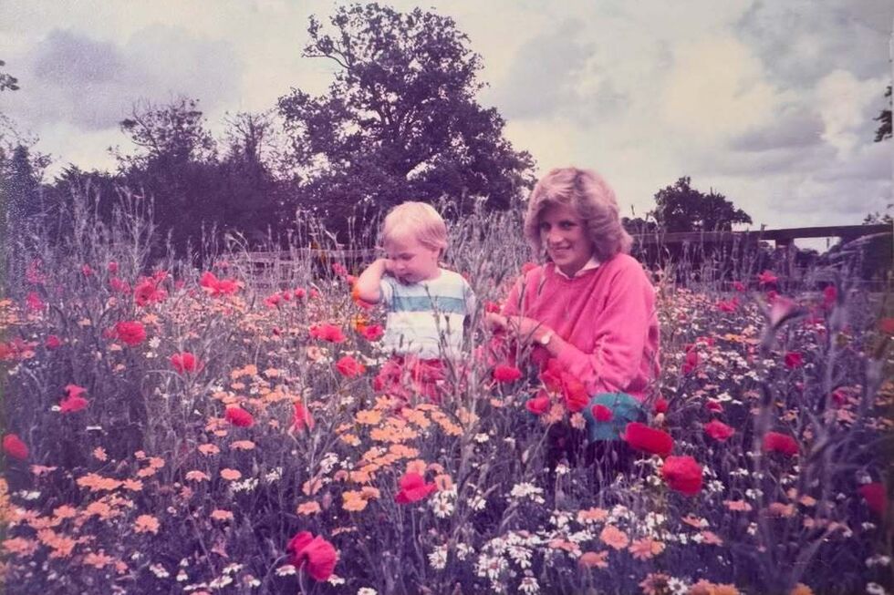 William e Diana, em 1984