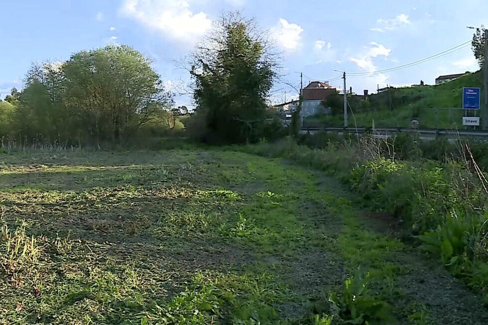 Terrenos terão de ser limpos até ao fim de junho