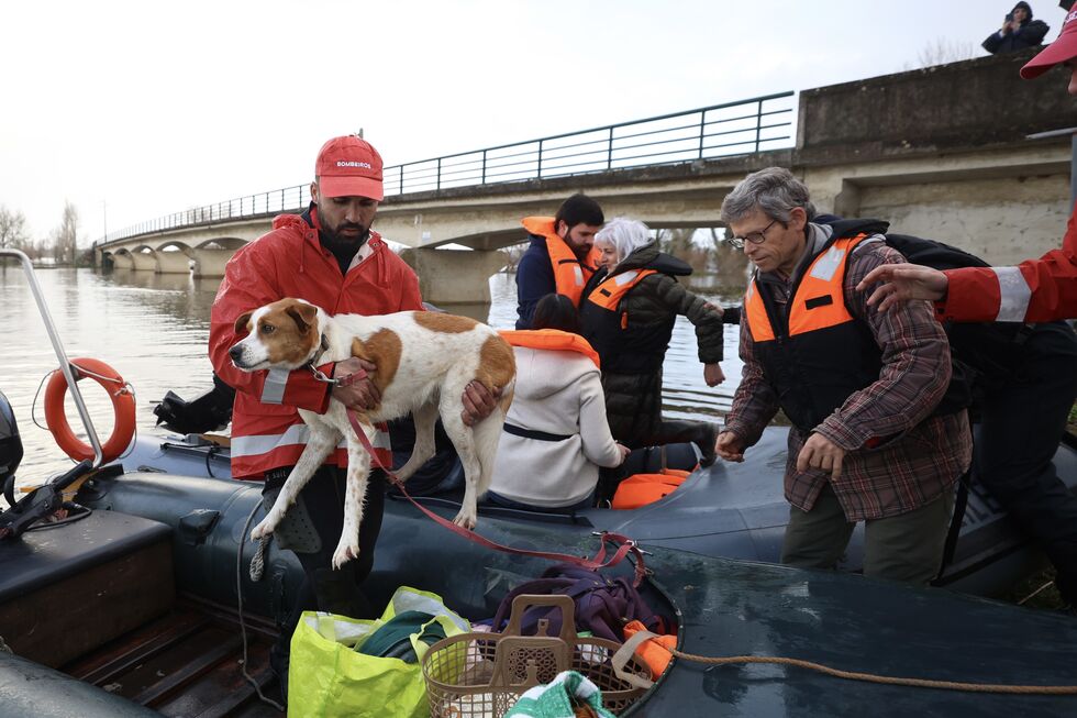 Transporte em Ereira, Montemor-o-Velho, localidade que ficou rodeada de água