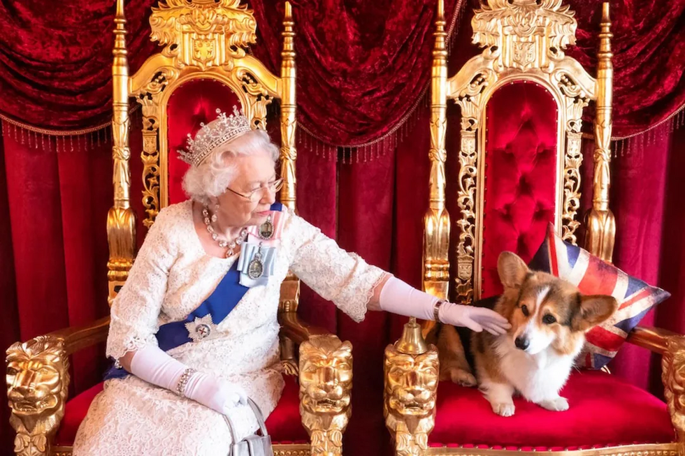 A Burberry lançou uma coleção inspirada na Rainha Isabel II. E os corgis da monarca são os protagonistas