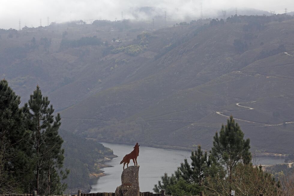 Lobo de Fafião (Gerês)
