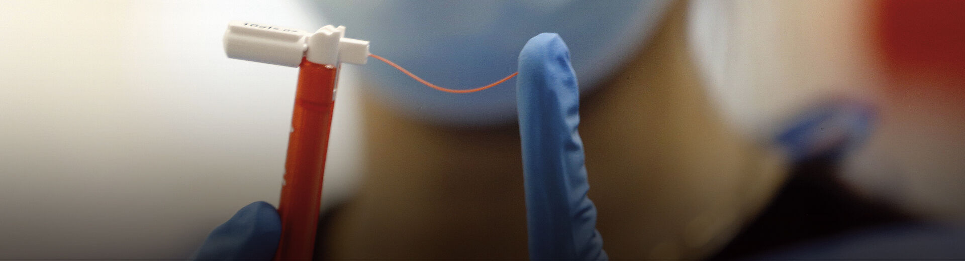 29 de abril a 5 de maio de 2026