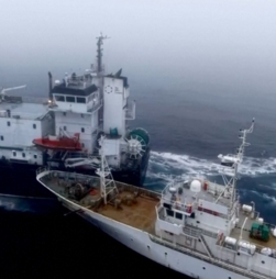 Imagens aéreas mostram a colisão de navio de ativistas com barco de pesca na Antártica