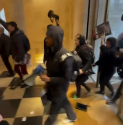 Ativistas invadem loja da Louis Vuitton em Londres em protesto contra o uso de peles no mundo da moda