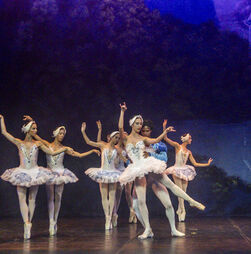 'O Lago dos Cisnes' volta ao Teatro Camões pela CNB com orquestra ao vivo