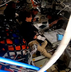 Missão Artemis II bate o recorde de distância da Apollo 13: nunca antes os astronautas se tinham afastado tanto da Terra