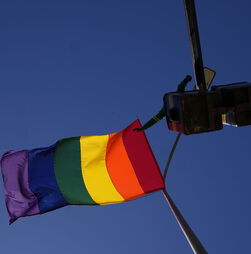 Petições reacendem debate sobre terapias de conversão sexual em Portugal. 'As identidades de género não são tratáveis'