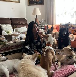 A portuguesa que resgata cães em Omã