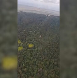 Imagens mostram destroços de avião após queda no meio da selva no Brasil