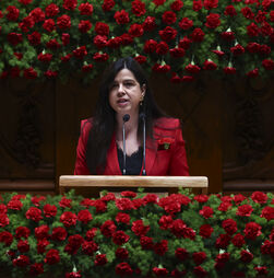 PAN diz que governo tem de deixar de olhar para alimentação e saúde animal como bem de luxo 