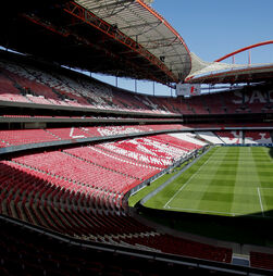 Entrada de norte-americanos na SAD do Benfica anima ações encarnadas na bolsa