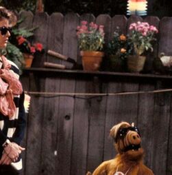 Novo canal aposta na nostalgia e marca regresso de séries como 'Alf', 'O Justiceiro' ou 'Quem Sai Aos Seus'