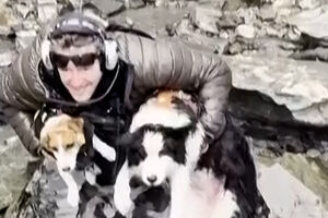 Cadela perdida em floresta na Nova Zelândia resgatada de helicóptero após campanha solidária 