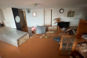 Chuva intensa deixa habitações completamente inundadas em Atenas 