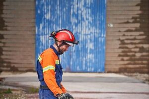 Parabéns, Billy e Betsy! Estes dois patudos são os novos cães de salvamento dos Bombeiros Sapadores de Lisboa
