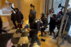 Ativistas invadem loja da Louis Vuitton em Londres em protesto contra o uso de peles no mundo da moda  