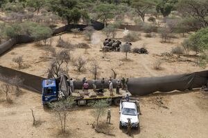 WPP 2026 - África: “Quando os Gigantes Caem”