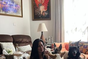 Isabel com os dez cães resgatados que tem em casa 