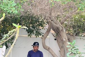 Isabel resgata cães em Omã, onde estes animais são impuros