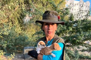 Isabel, guia turística em Omã, resgata cães num país onde são impuros