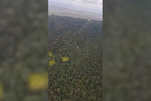 Imagens mostram destroços de avião após queda no meio da selva no Brasil