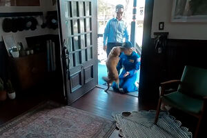 Pura felicidade: o momento em que a astronauta Christina Koch se reencontra com a sua cadela no regresso a casa 