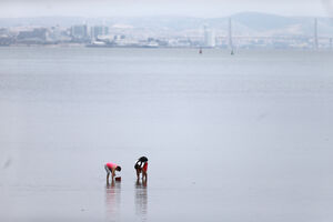 População local na apanha da ameijoa japónica no rio Tejo 