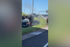 Cerca de um milhão de abelhas invadiram saída de autoestrada após acidente com camião nos EUA 