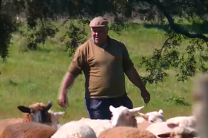 Repórter SÁBADO: Produtores de gado acusam fábrica de poluir águas que animais bebem 