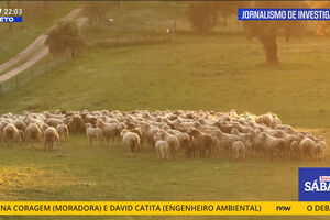 Repórter SÁBADO na íntegra: Produtores de gado acusam fábrica de poluir águas que animais bebem
