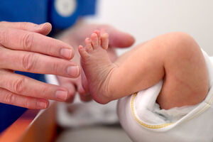 Nascimentos registam valor mais alto da última década