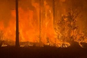 Incêndio florestal de grandes dimensões obriga população a abandonar casas nos EUA