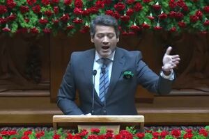 "Mais importante do que cravos é os portugueses terem direto à saúde e à educação", defende André Ventura