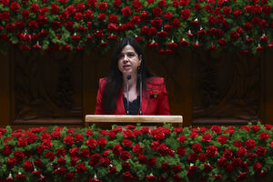 Deputada do PAN discursa sobre alimentação e saúde animal