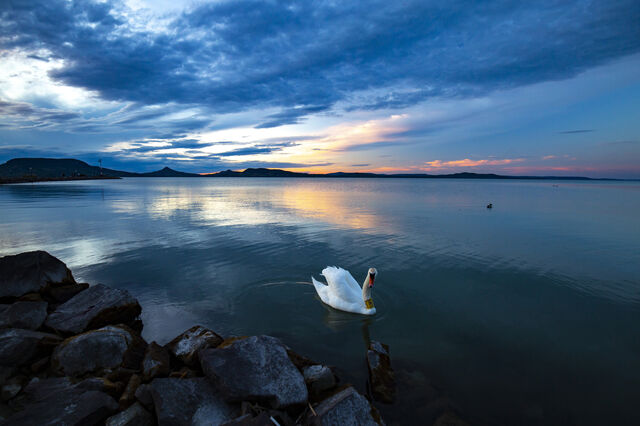 O lago Balaton, na Hungria, é um dos locais que lhe sugerimos visitar este verão