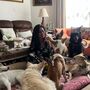 A portuguesa que resgata cães em Omã