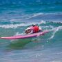 Já viu um cão em cima de uma prancha? O Surf Canino vai levar os patudos a surfar na Praia de Carcavelos