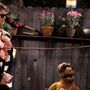 Novo canal aposta na nostalgia e marca regresso de séries como 'Alf', 'O Justiceiro' ou 'Quem Sai Aos Seus'