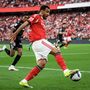 Ações do Benfica seguem imparáveis e colocam SAD das águias a valer 189,5 milhões