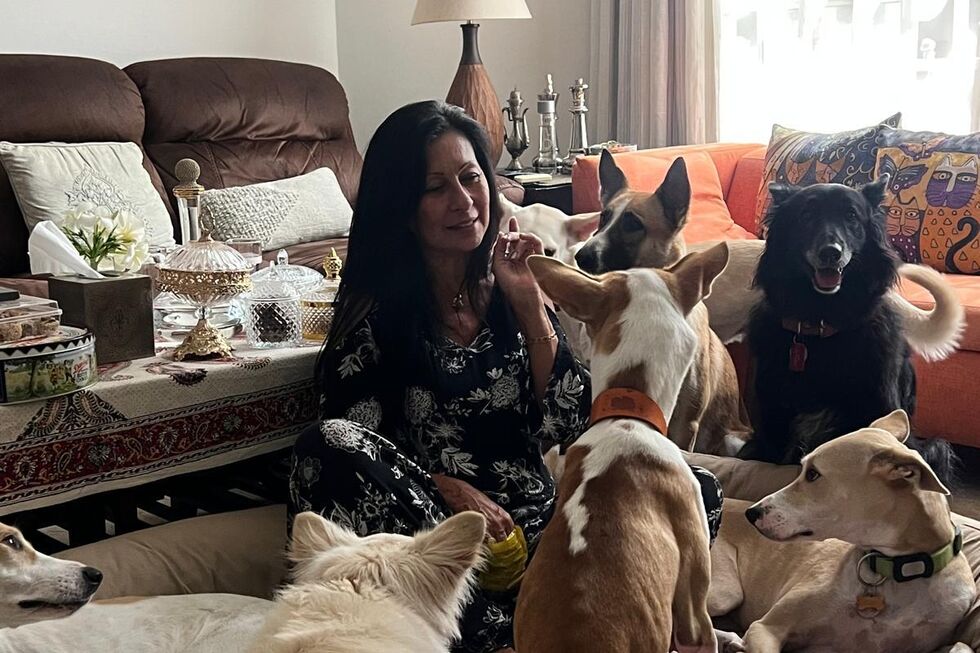 Isabel com os dez cães resgatados que tem em casa 