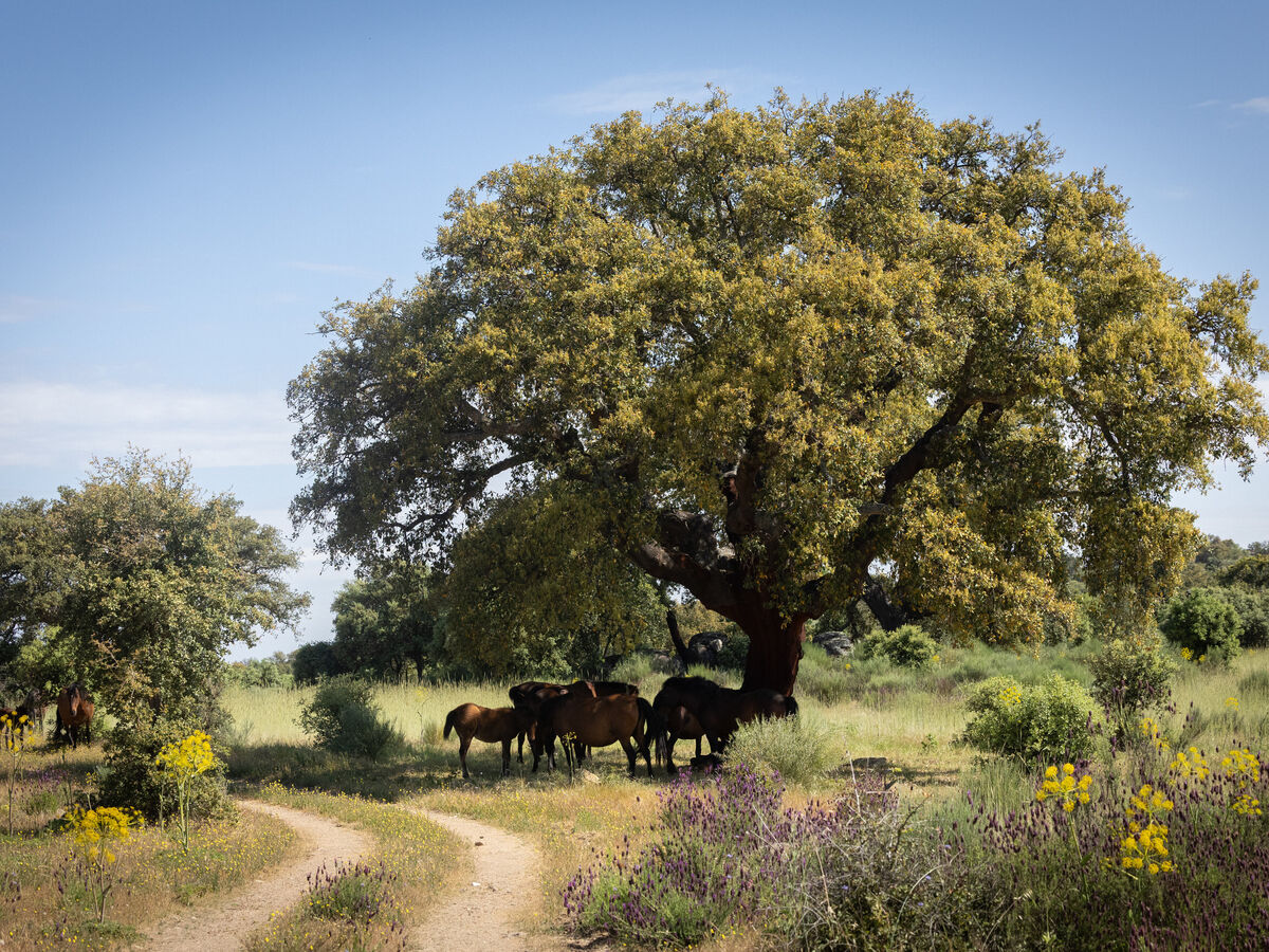 Visitámos a primeira reserva natural privada do país