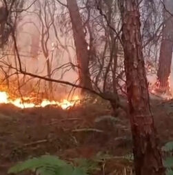 Moradores retirados de casa devido aos incêndios florestais em Itália