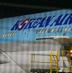 Companhia Korean Air proíbe galos a bordo dos EUA para as Filipinas