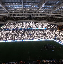 Homenagem marcante: Dragão às escuras, luzes nas bancadas e esposa de Jorge Costa no relvado