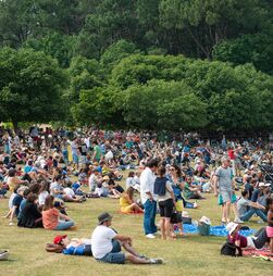 Serralves em Festa regressa para 20.ª edição com 50 horas de arte contemporânea no Porto