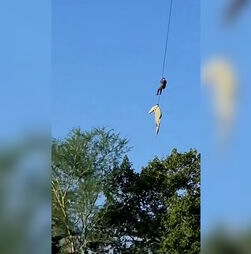 Polícia e crocodilo içados de helicóptero durante operação para recuperar restos mortais de empresário na África do Sul
