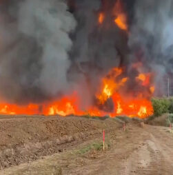 Incêndio florestal no Arizona consome quase 400 hectares 