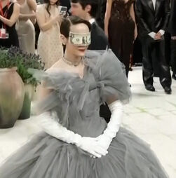 Dos olhos vendados com notas de dólares às obras de arte recriadas: Veja os looks ousados da Met Gala 2026